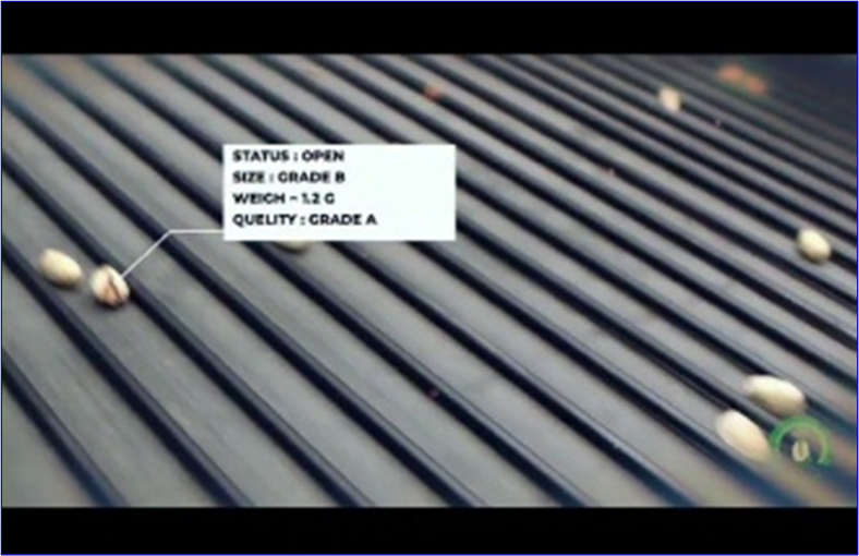 Generative AI for Revealing Palimpsests